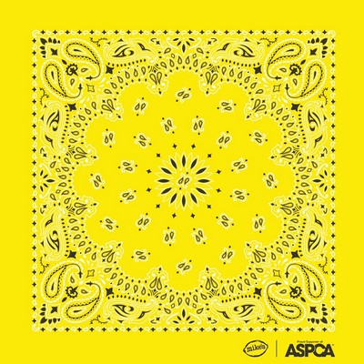 USA Made Classic Paisley Bandanna 22" x 22" Pre-printed Dyed Color/Design 100% Cotton (35 Colors)